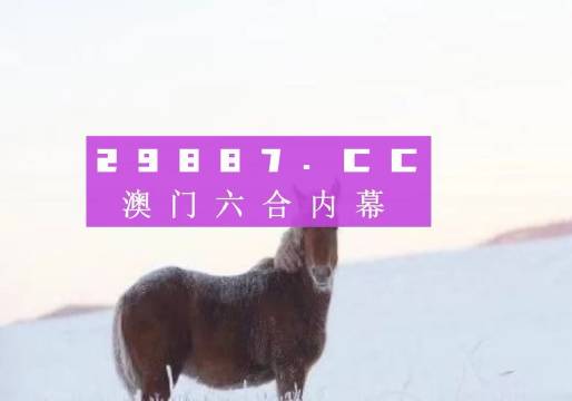 新澳门4949精准免费大全|精选解释解析落实