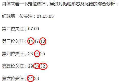 新澳门今晚开奖结果 开奖|精选解释解析落实